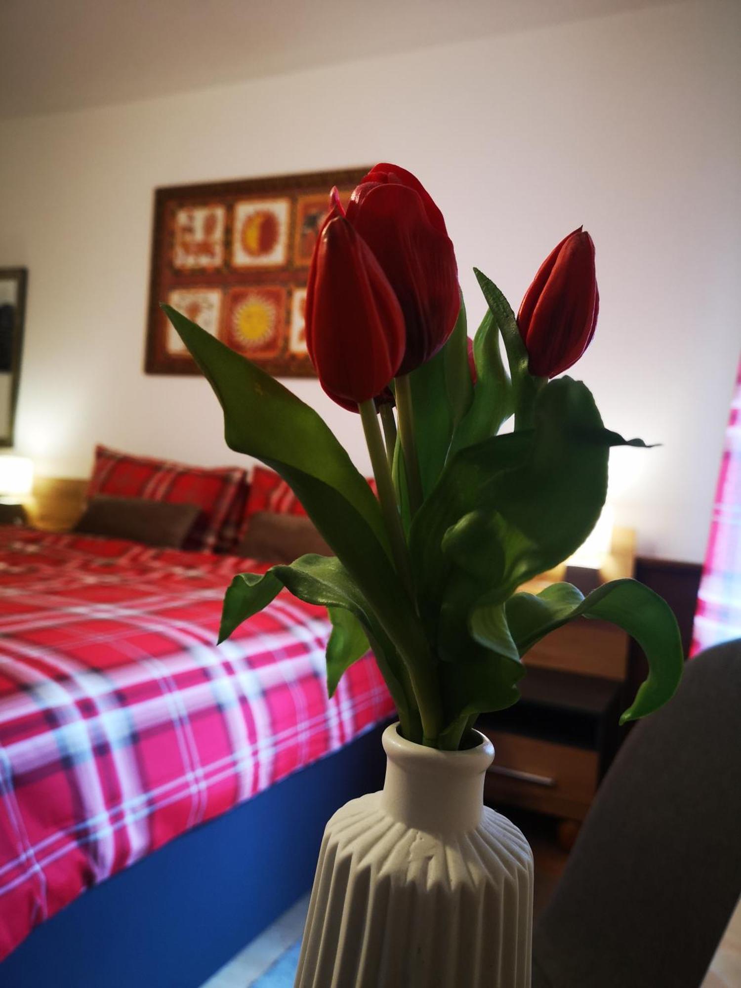 Rosy'S House B&B 바드고이세른 객실 사진